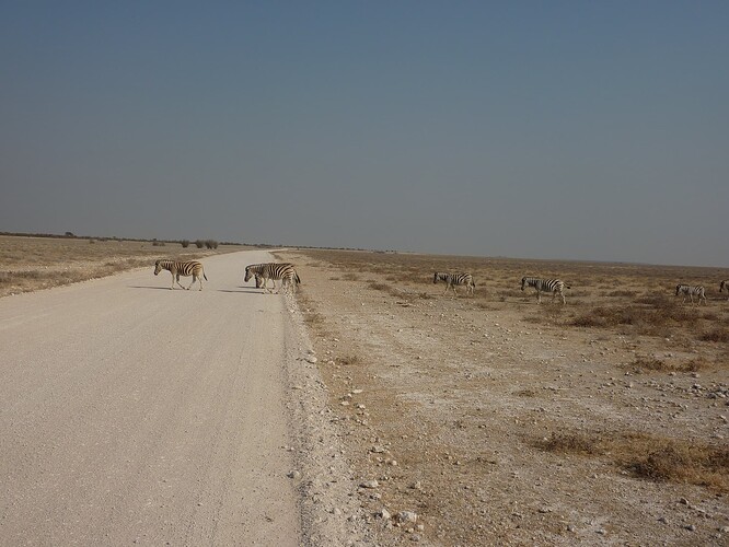 P1160035