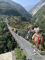 IMG_8261