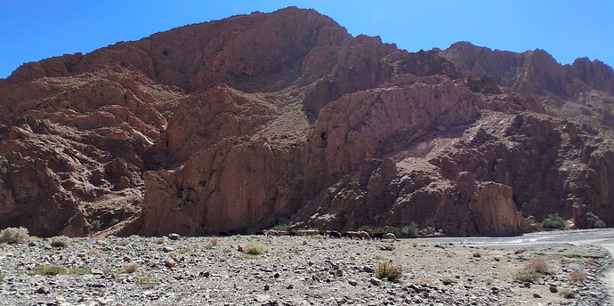 IMG-20250505-WA0004~2