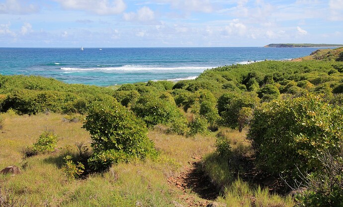 Baie Nord de Pinel