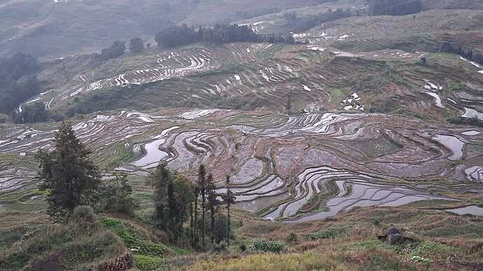 IMG-20251028-WA0033
