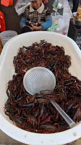 IMG-20251121-WA0014