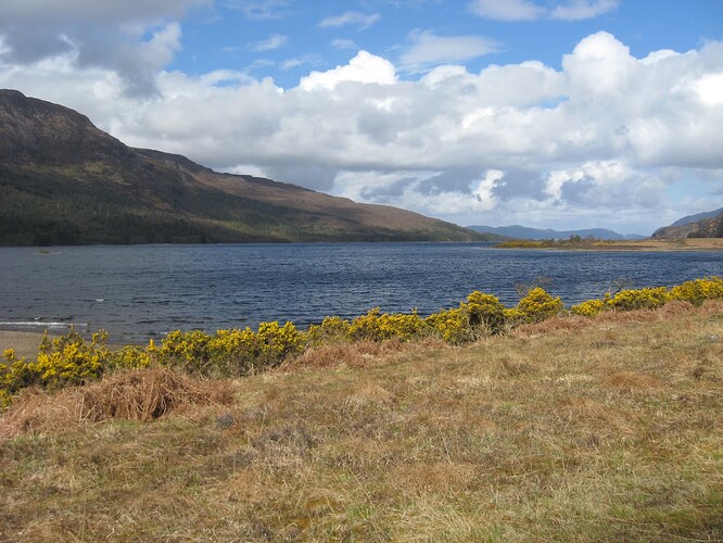 Ecosse (307)