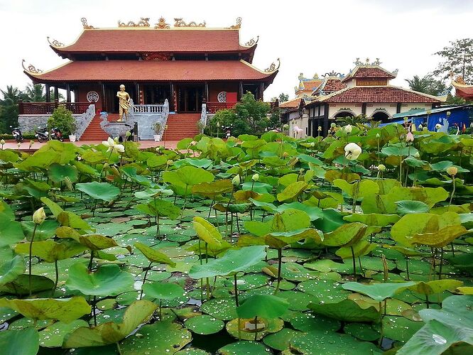 18 jours au Vietnam du Nord au sud, janvier 2018, jour 13 à 19 - lolotte34