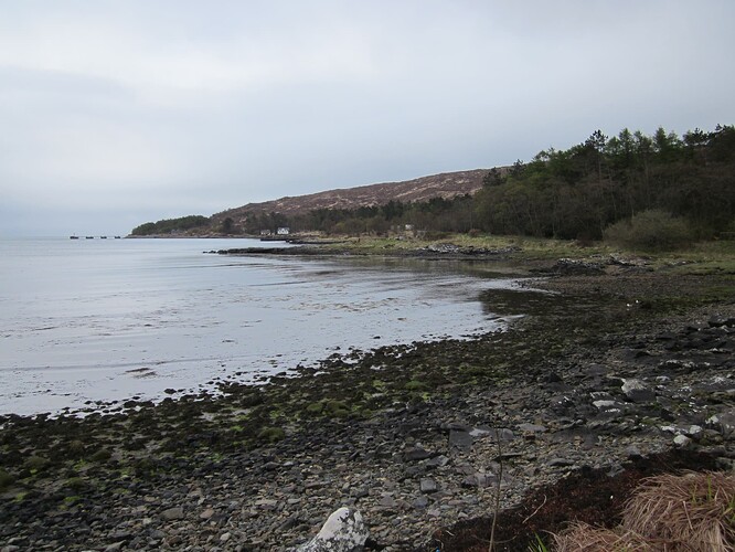 Ecosse 2013 305