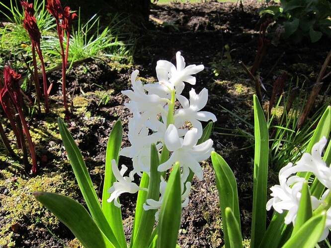 Ecosse 2013 226