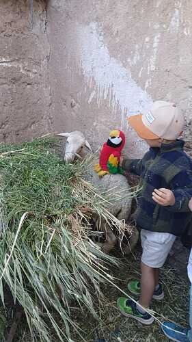 IMG-20260424-WA0006