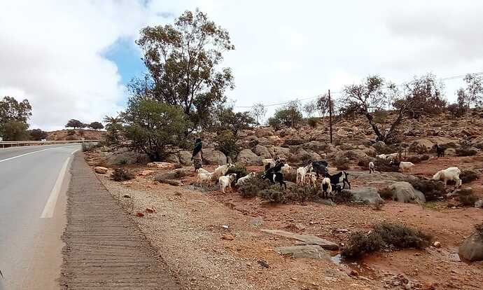 IMG-20250416-WA0012(1)