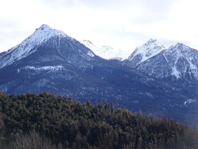 DSC02862_1