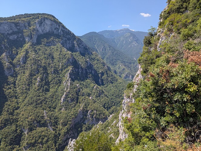 PXL_20250809_085345495_1