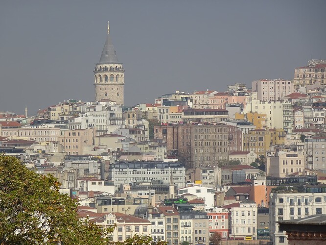DSC04784_1