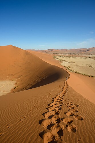 _NZ60695