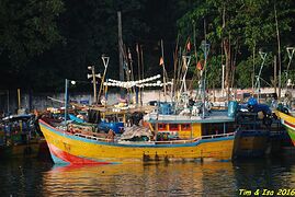 Road trip au Sri Lanka - timdef