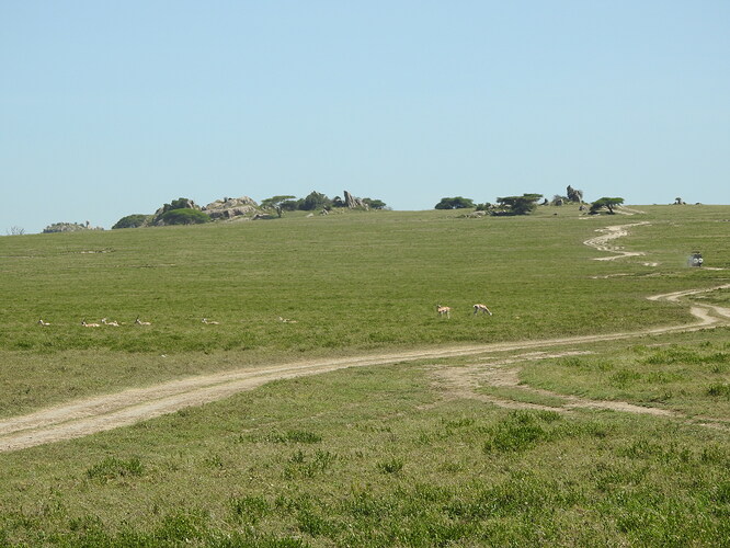 DSCN1612