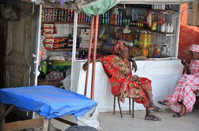 Visages et instantanés du Sénégal, Saint Louis et ses environs ... - fabienne65