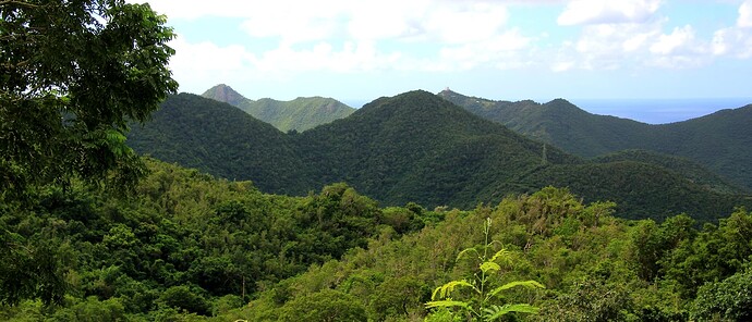 Les crêtes de Sint Maarten (Pays-Bas ultramarin)