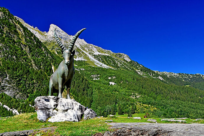 Les Balcons de la Vanoise - Philippe Manaël