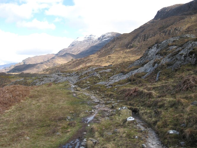Ecosse (305)