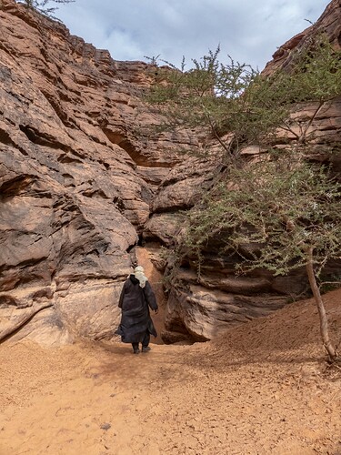 Canyon