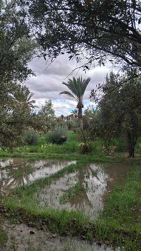 IMG-20260320-WA0036