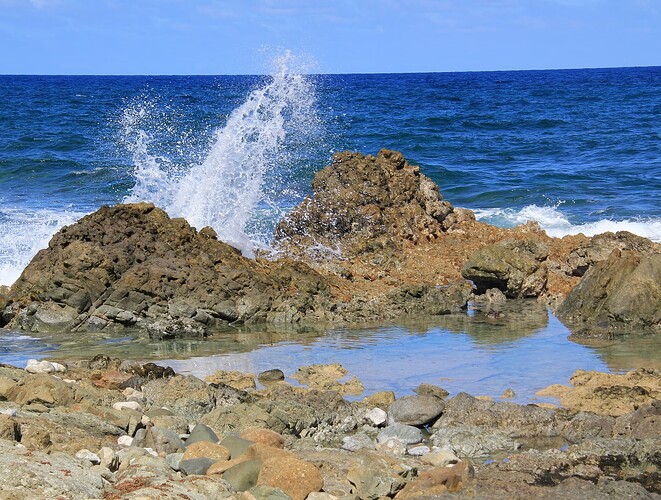 Piscine naturelle