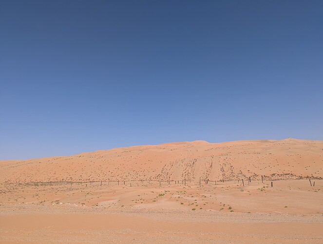 PXL_20250417_050922855_1