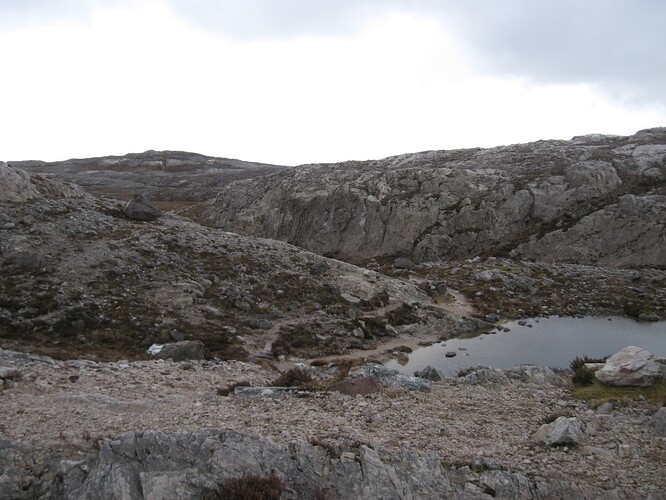 Ecosse (281)