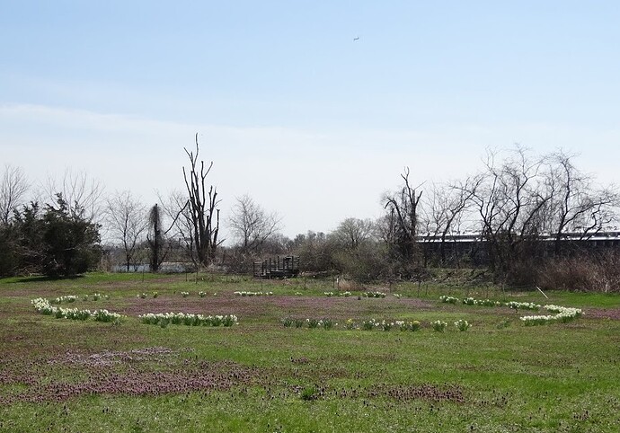 DSC0037117