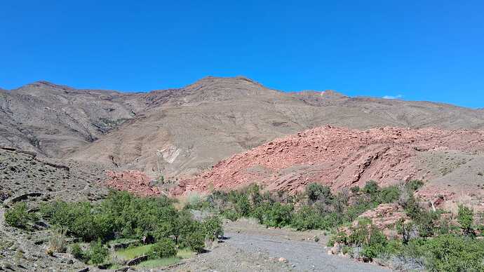 IMG-20250505-WA0006