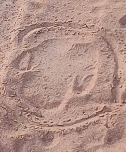 20250430_074016