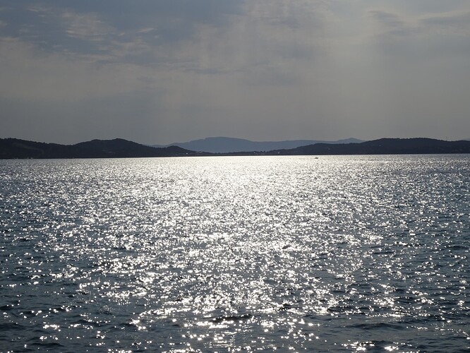 DSC04456_1