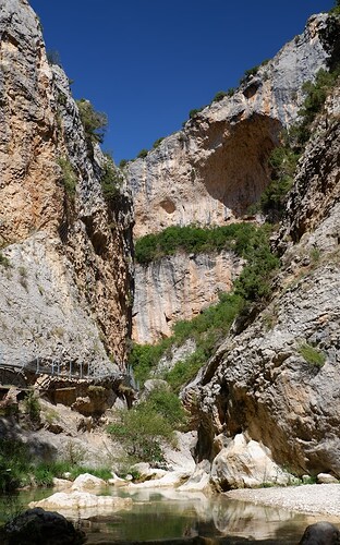 DSCF7929