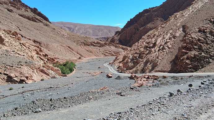 IMG-20250505-WA0008