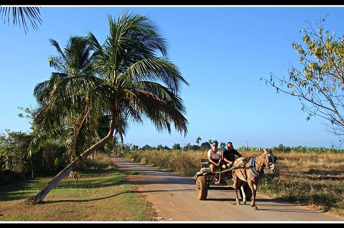 Re: Dans les Caraïbes, d'îles en îles ... souvenirs. (troisième partie, de République Dominicaine à Key West ) - jem