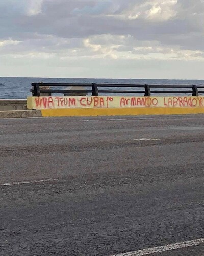 viva trump malecon