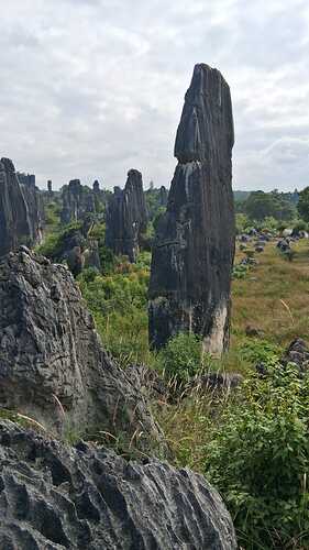 IMG-20251106-WA0015