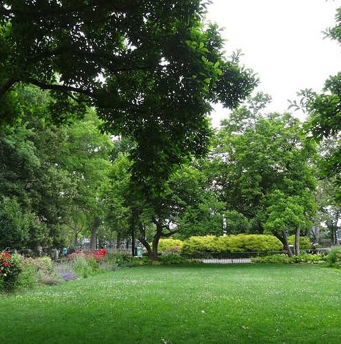 DSC007247