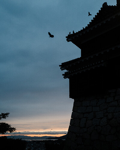 Chateau de Mastuyama