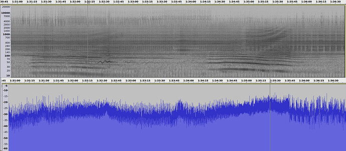 decibels-vs-spectrogramme2