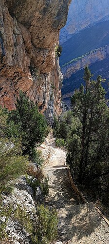 IMG_20240728_100556