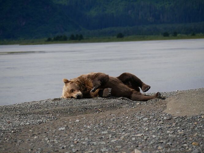 4 semaines en Alaska été 2018 - paly1