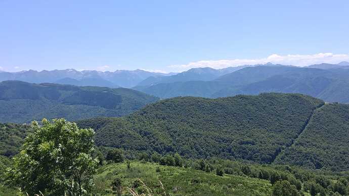 IMG-20250815-WA0001