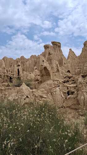 IMG-20250611-WA0008