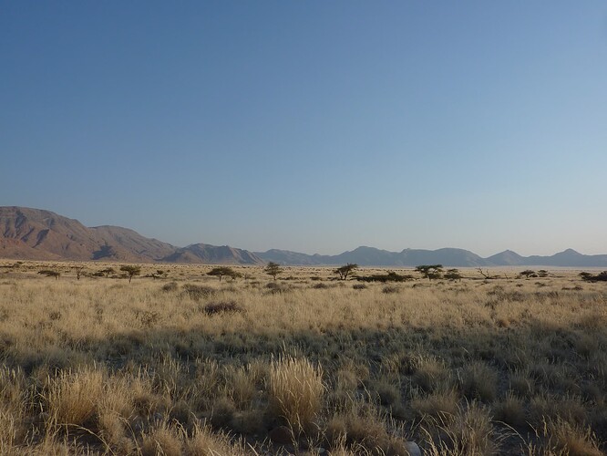 P1140362