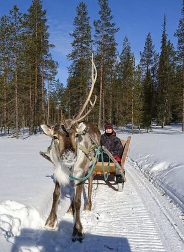 Voyage multi-activités en Laponie finlandaise chez l'habitant - Joh et Max