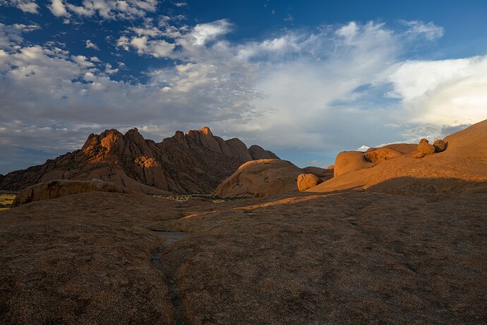 _NZ60966