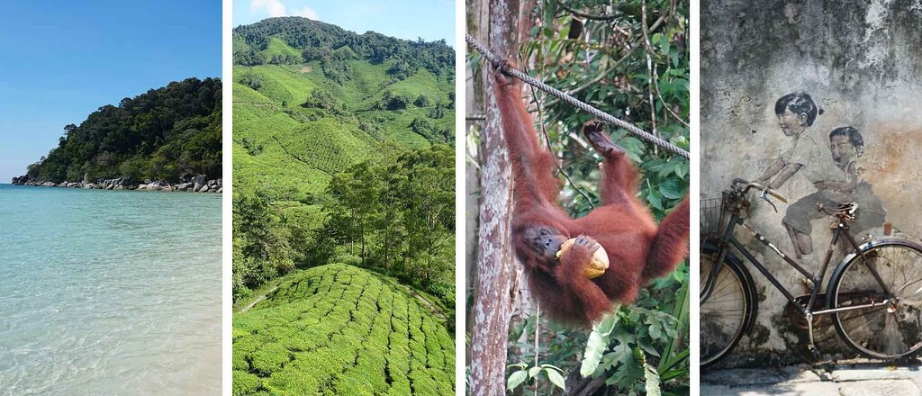 Carnet de voyage en malaisie : singes, plages paradisiaques