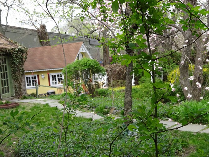 DSC06153
