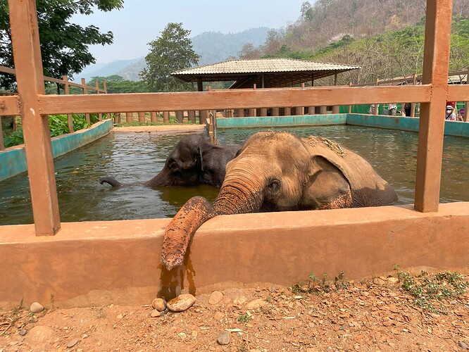 Elephant Nature Park