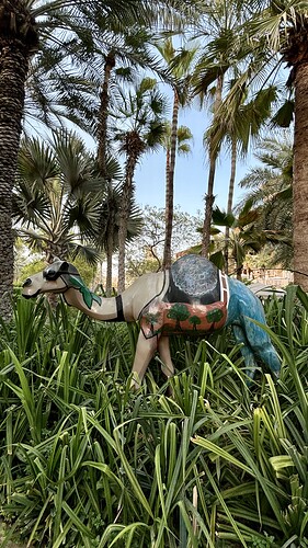 IMG_0656